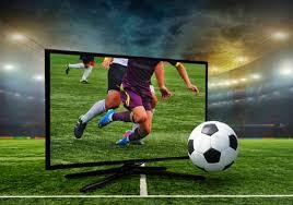 官方：捷克主力中后卫维蒂克因伤退出国家队