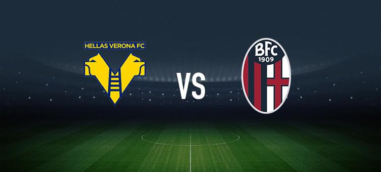 更为他们的 更为他们的