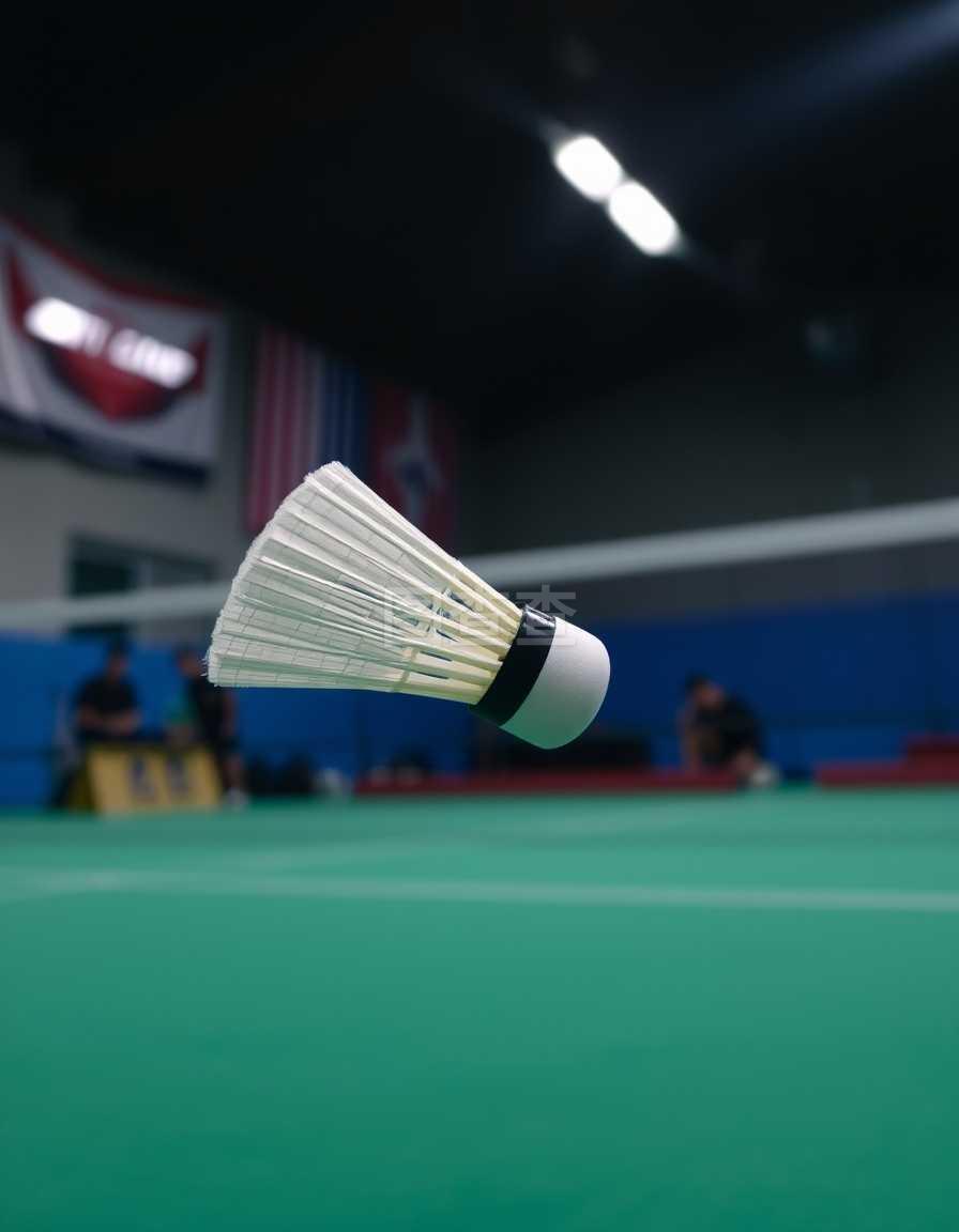 材的深入研 材的深入研