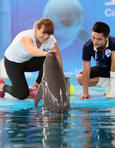 重视对小个 重视对小个